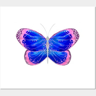 Blue and Pink Butterfly Posters and Art